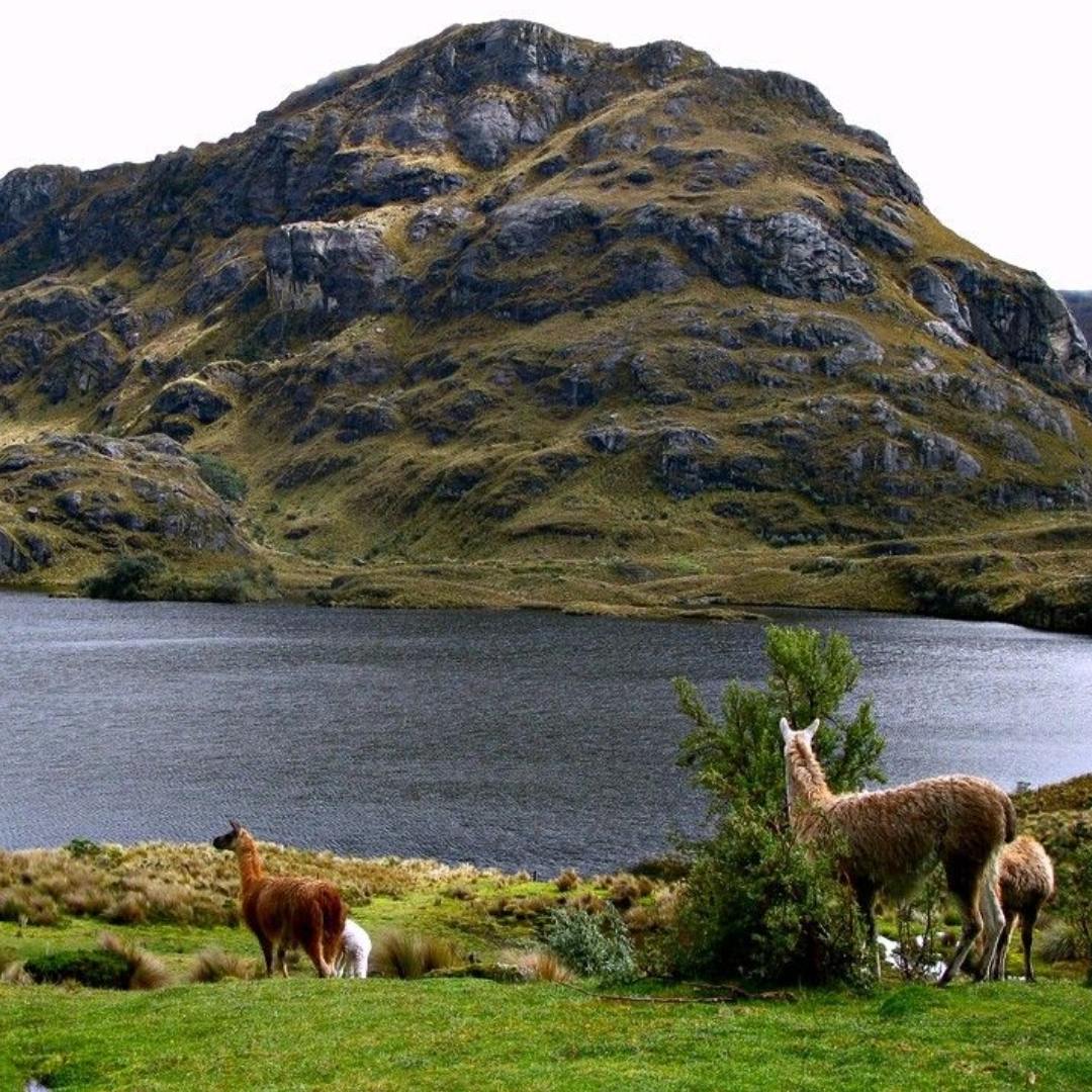 Parque Nacional Cajas